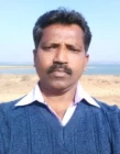 expert image